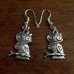 Owl Earrings - 925 Silver Findings - Tibetan..